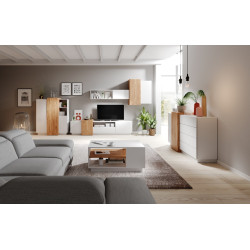 Модульна вітальня 3Д / 3D Perfect Home Польща
